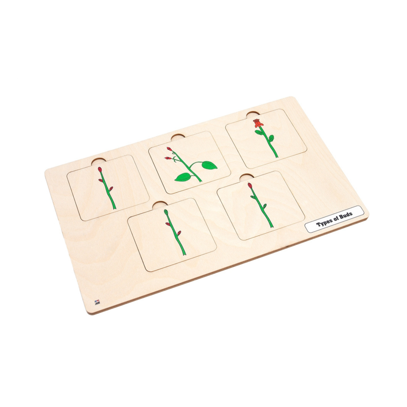 Types of Buds Puzzle with Nomenclature Cards 3-6 (Printed)