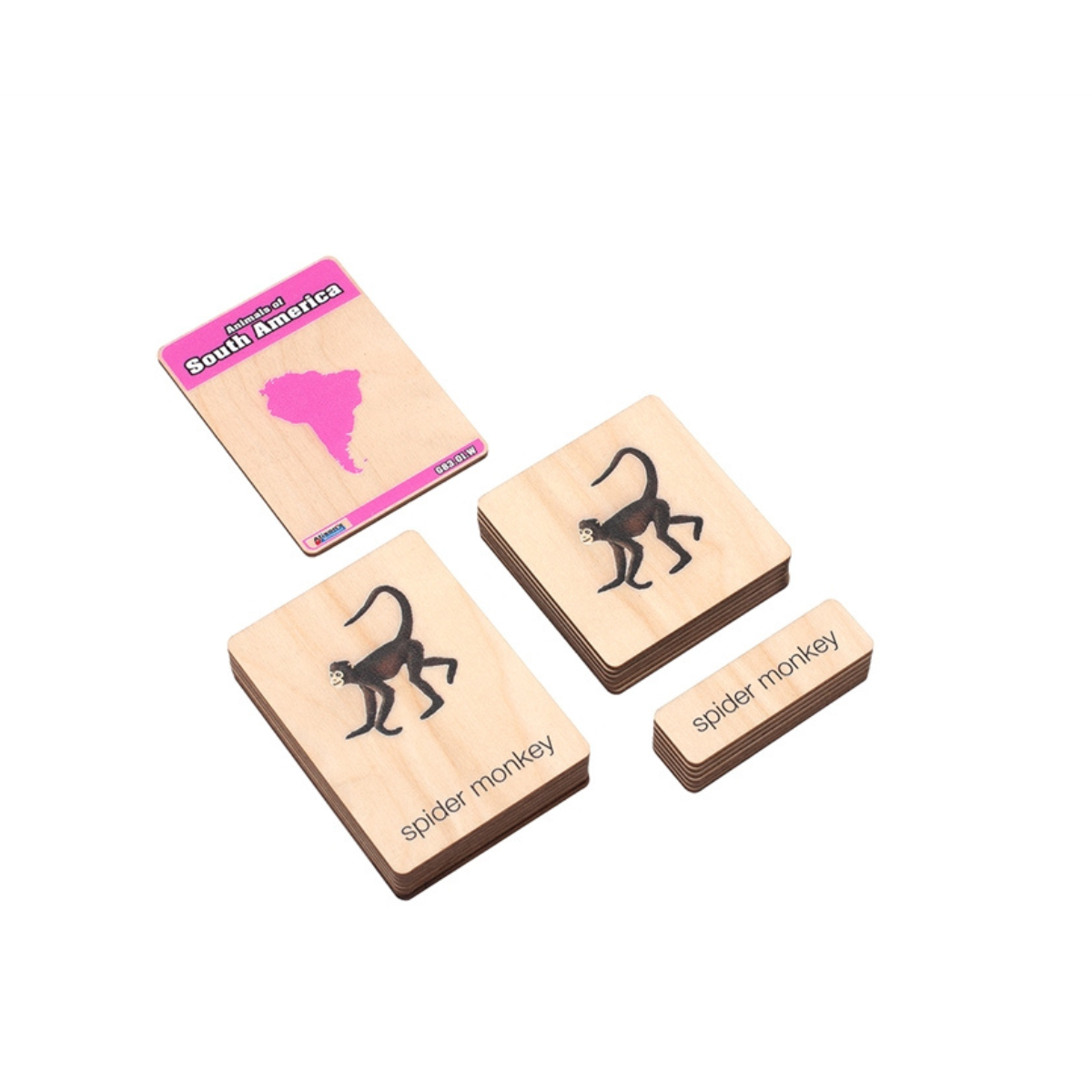Animals of South America Wooden Nomenclature Cards (3-6) (Printed)