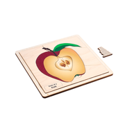 Parts of a Fruit Puzzle with Nomenclature Cards (6-9)