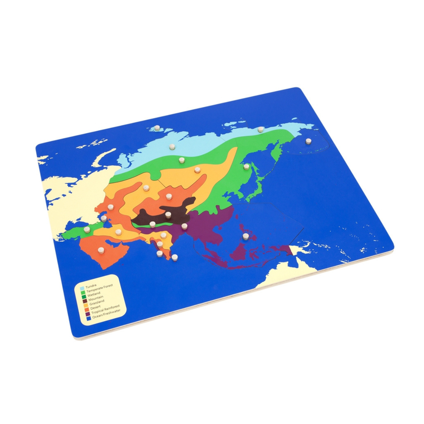 Biomes Puzzle Map of Asia with Control Chart