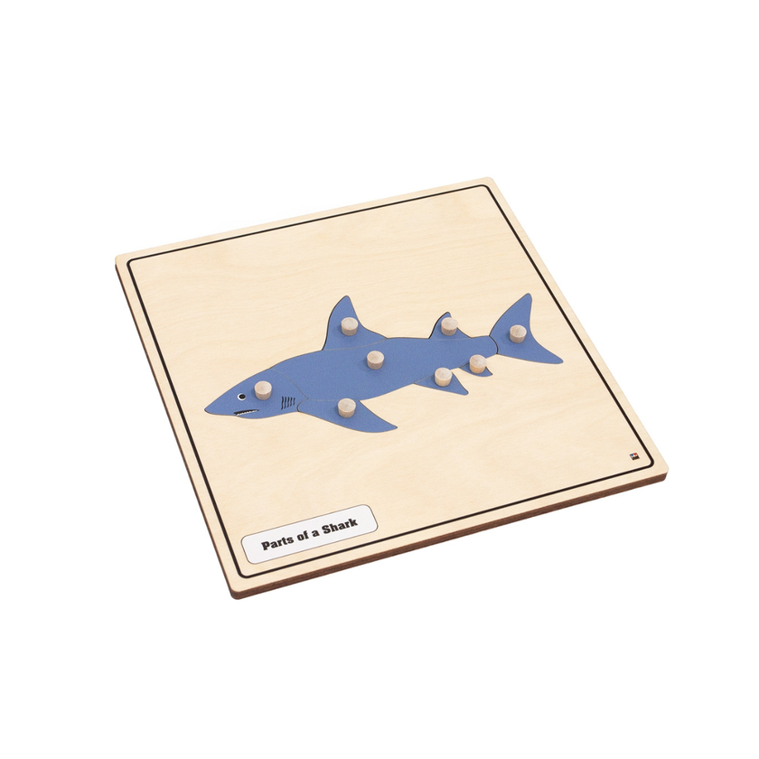 Parts of a Shark Knobbed Puzzle