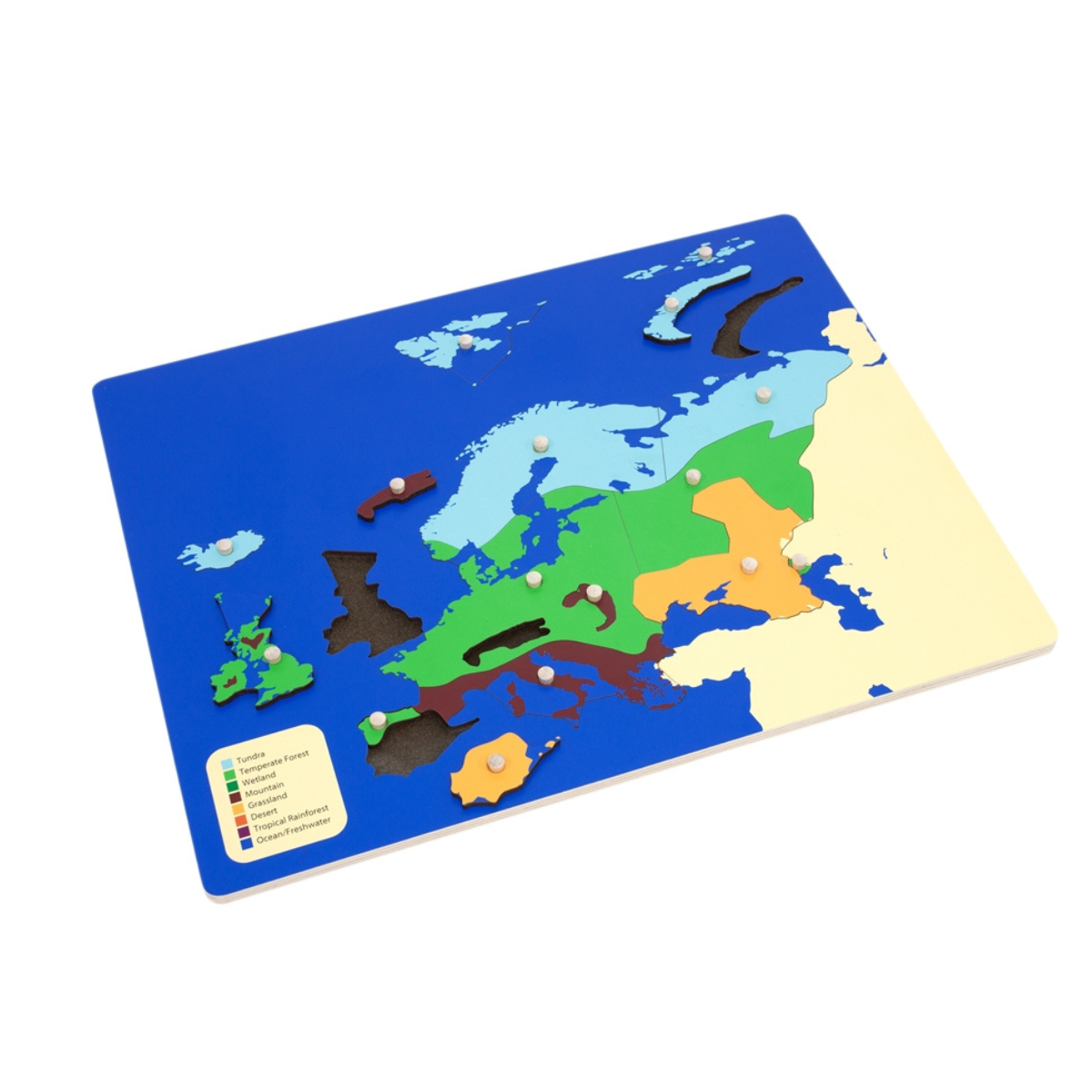 Biomes Puzzle Map of Europe with Control Chart