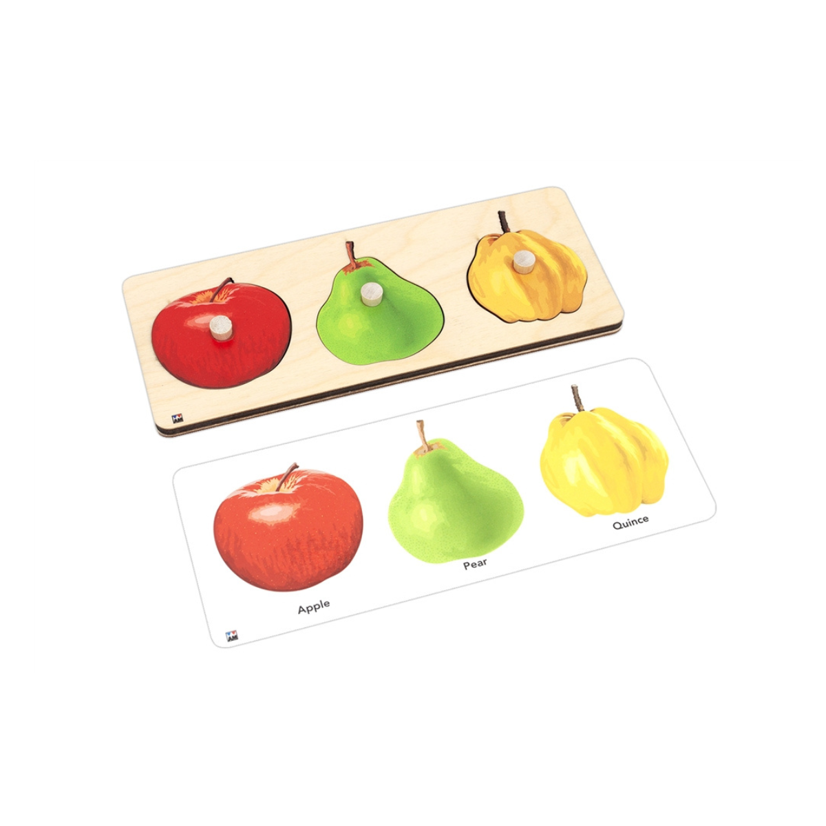 Types of Fruits Knobbed Puzzle