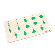 Types of Leaves Puzzle