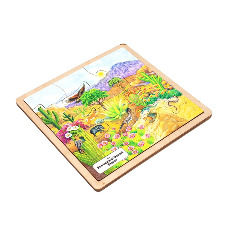 Subtropical Desert Biome Puzzle