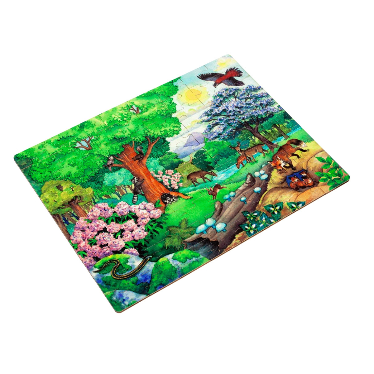 Temperate Deciduous Forest Biome - Jigsaw Puzzle