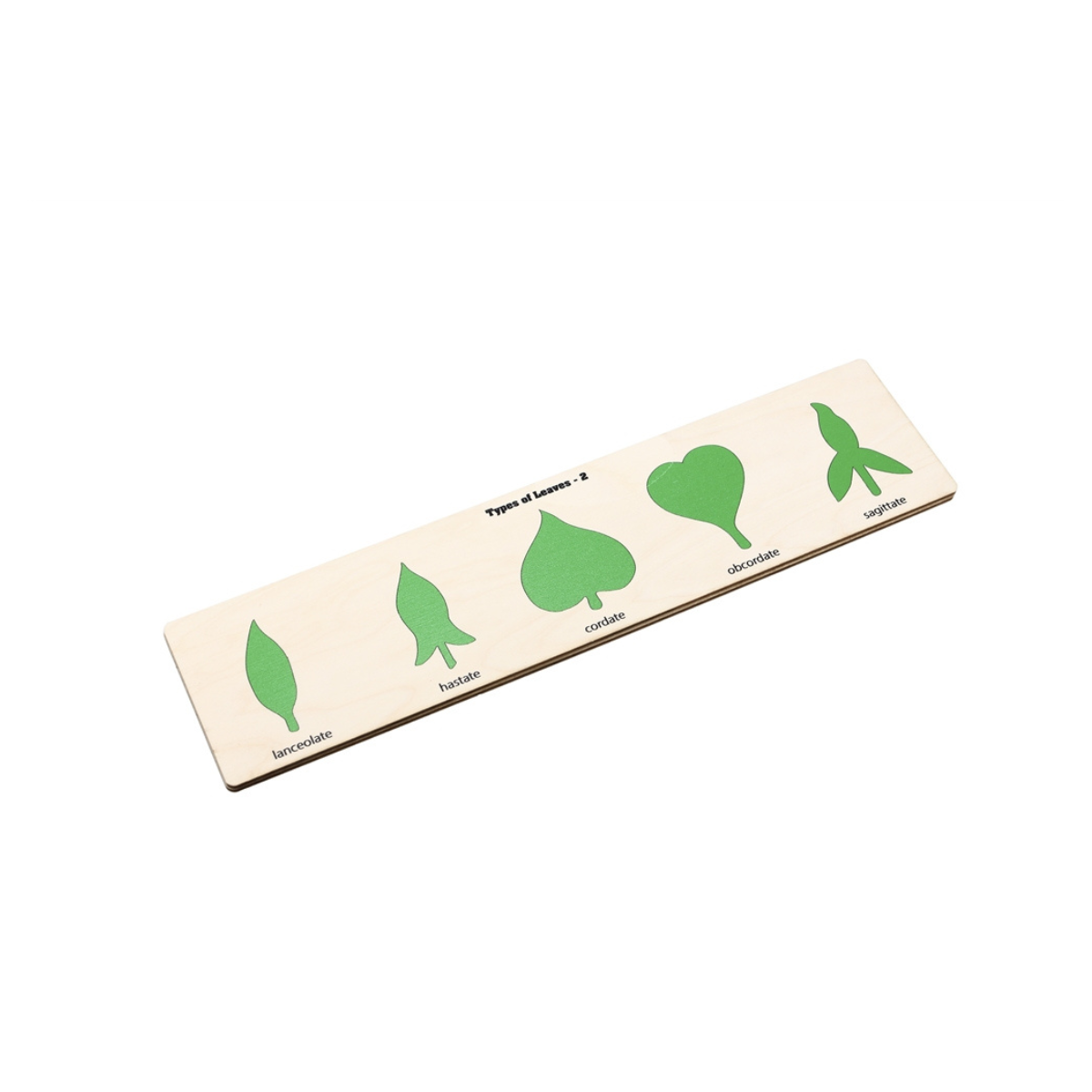 Types of Leaves Puzzle