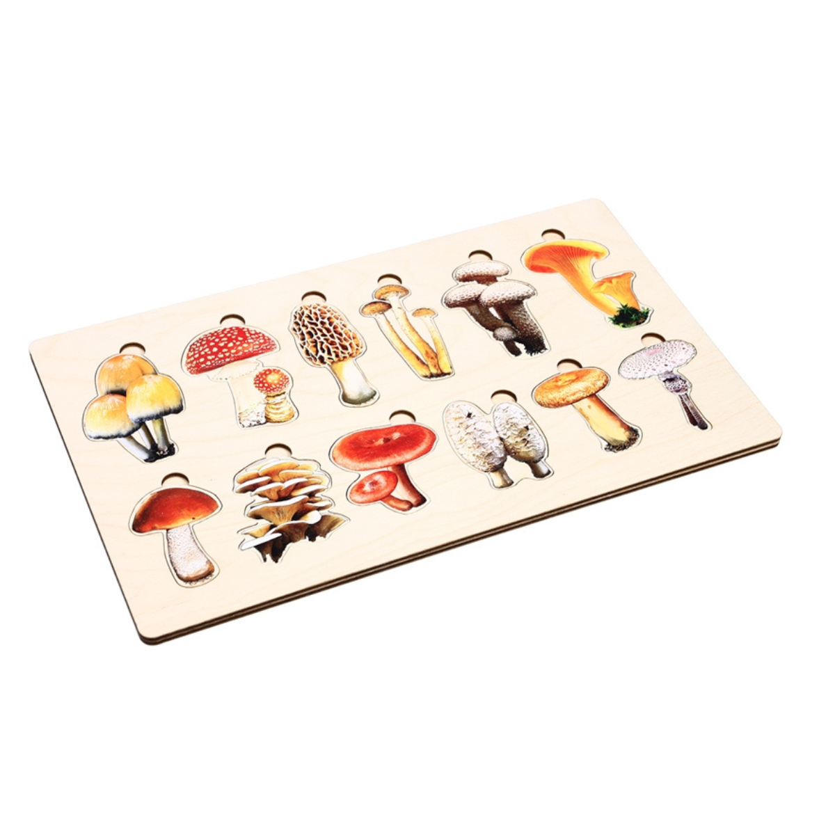 Types of Mushrooms Puzzle