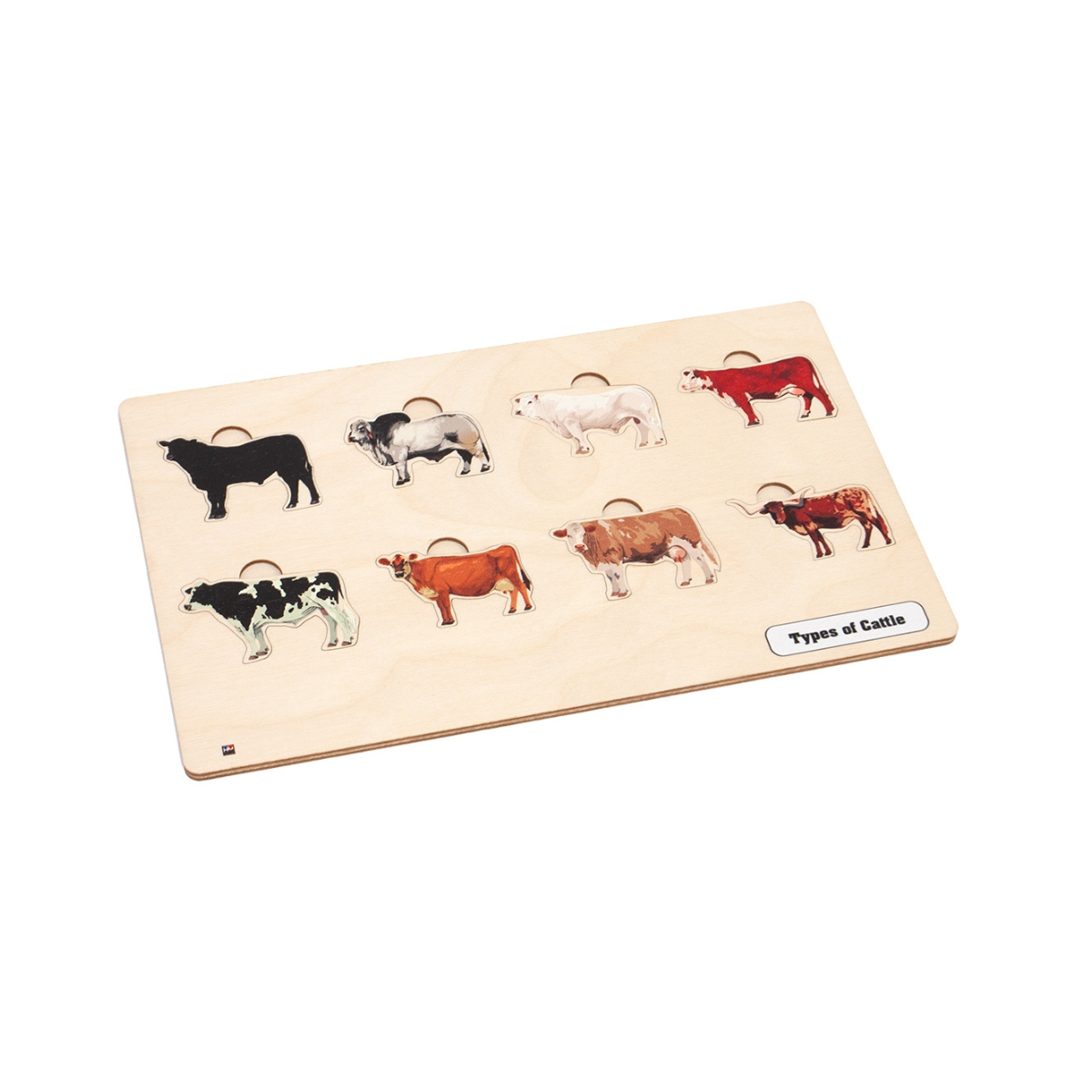 Types of Cattle Puzzle