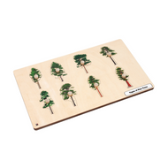 Types of Pine Trees Puzzle