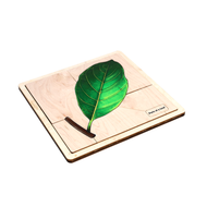 Parts of a Leaf Puzzle