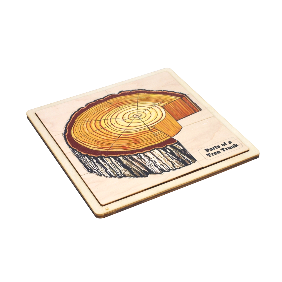 Parts of a Tree Trunk Puzzle with Nomenclature Cards 3-6