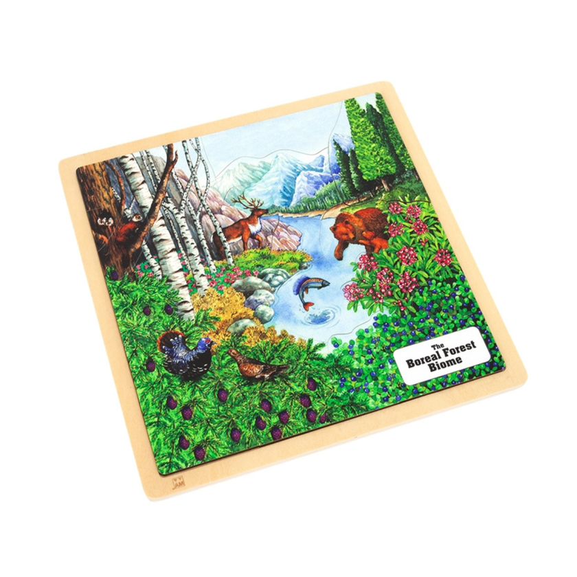 Boreal Forest Biome Puzzle