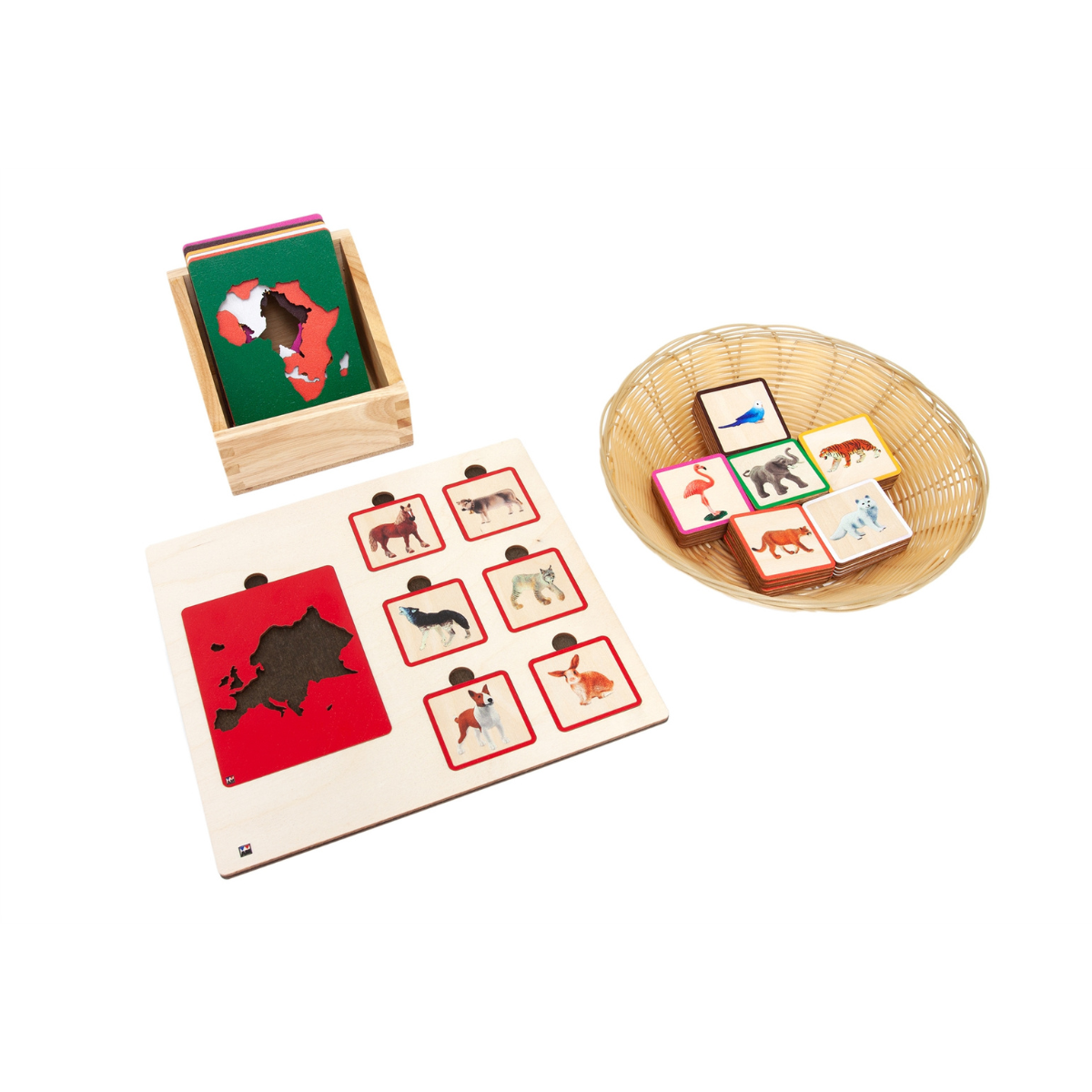 Continents and Their Animals Sorting Tiles