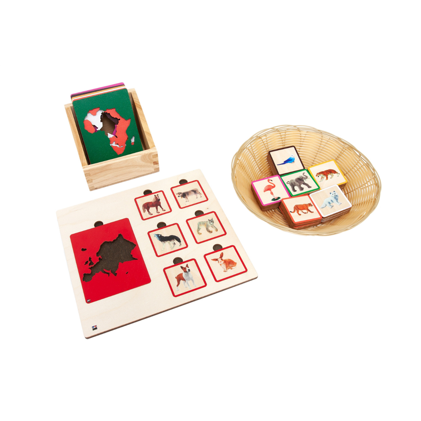 Continents and Their Animals Sorting Tiles