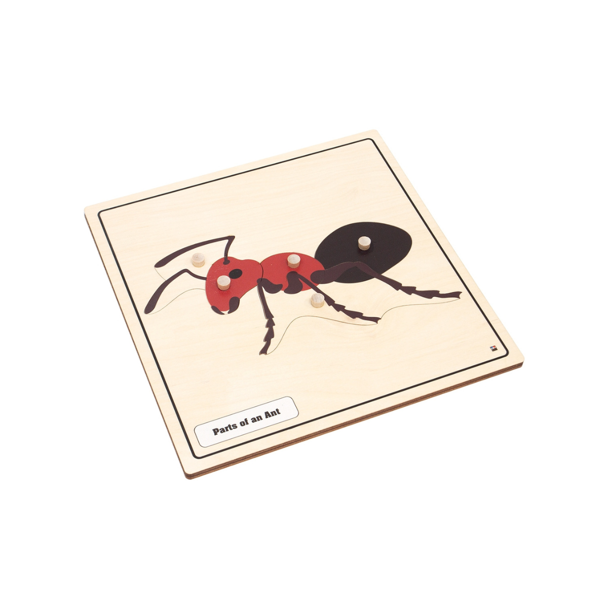 Parts of an Ant Knobbed Puzzle