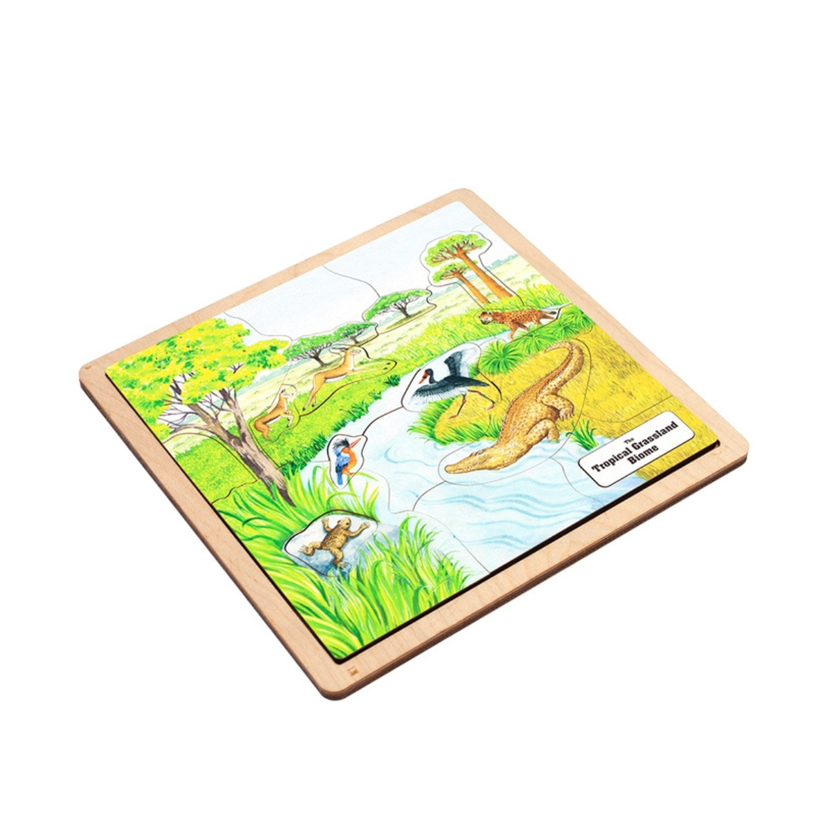 Tropical Grassland Biome Puzzle