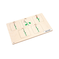 Types of Buds Puzzle