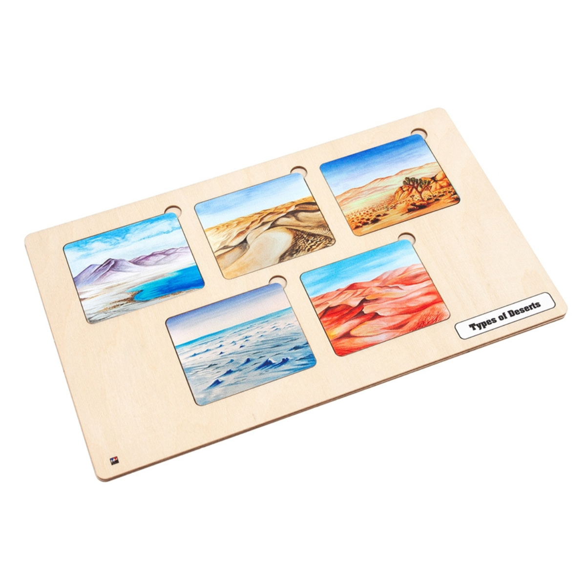 Types of Deserts Nomenclature Cards (6-9) (Printed)