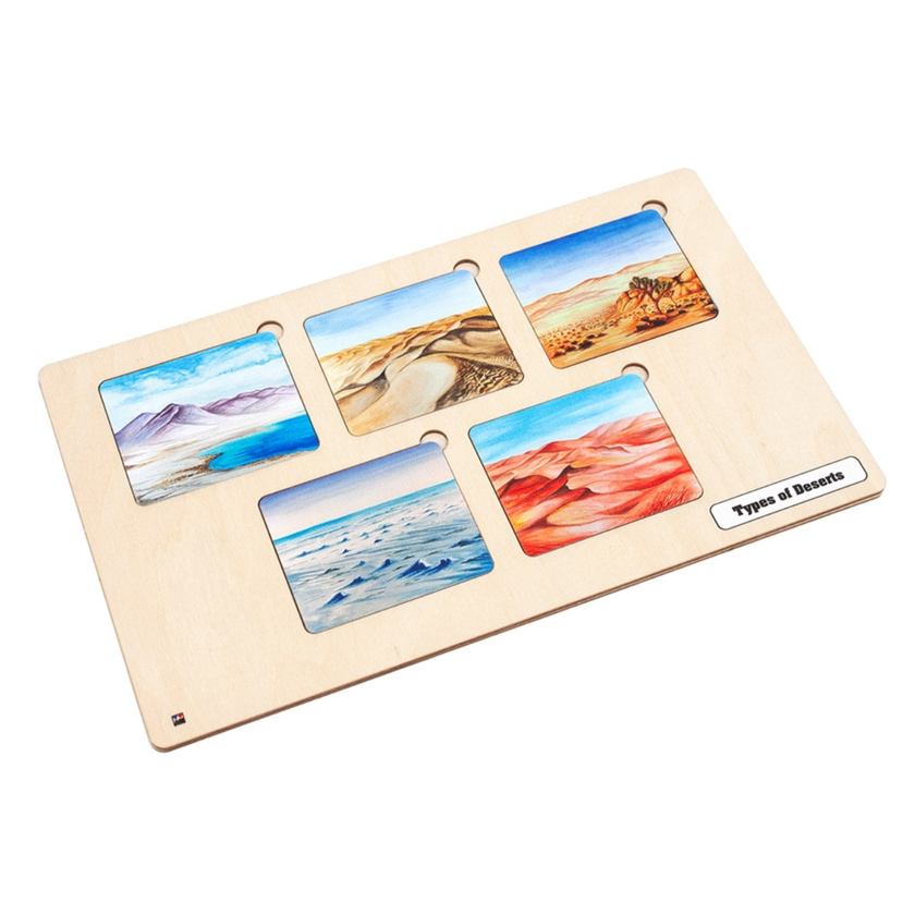 Types of Deserts Nomenclature Cards (6-9) (Printed)