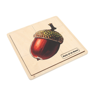 Parts of an Acorn Puzzle with Nomenclature Cards (3-6)