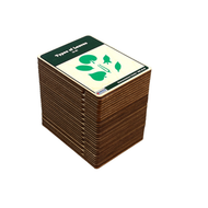 Types of Leaves (Wooden Nomenclature Cards)