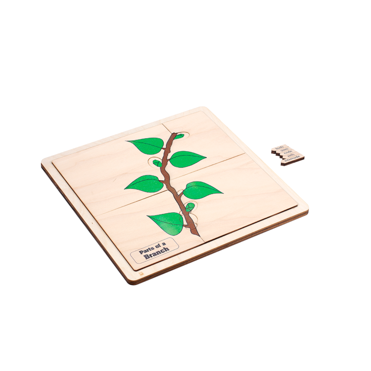 Parts of a Branch Puzzle