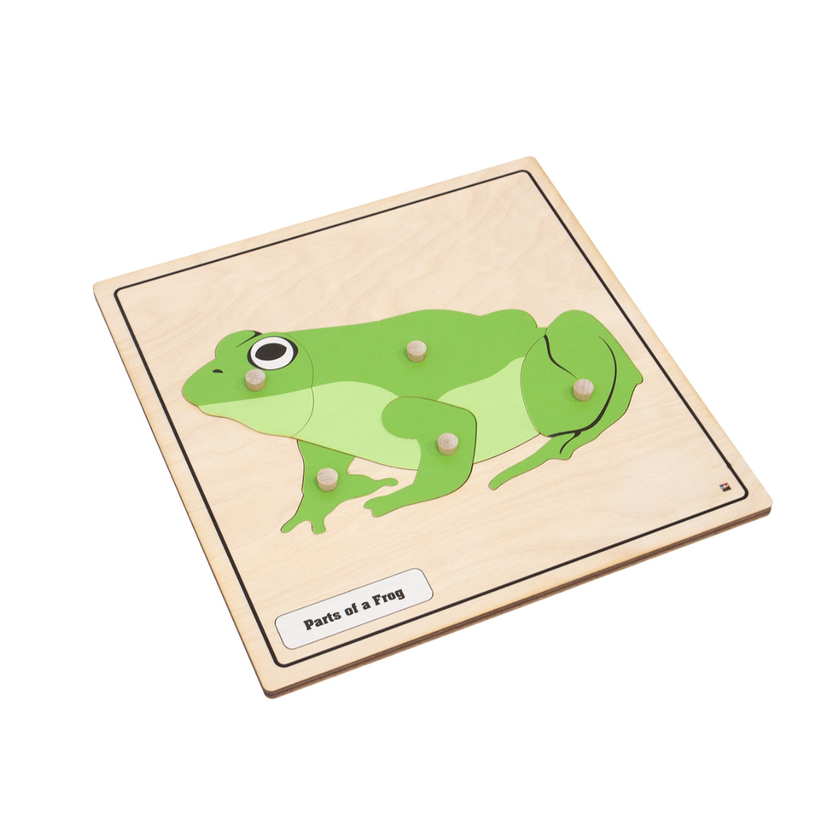 Parts of a Frog Knobbed Puzzle