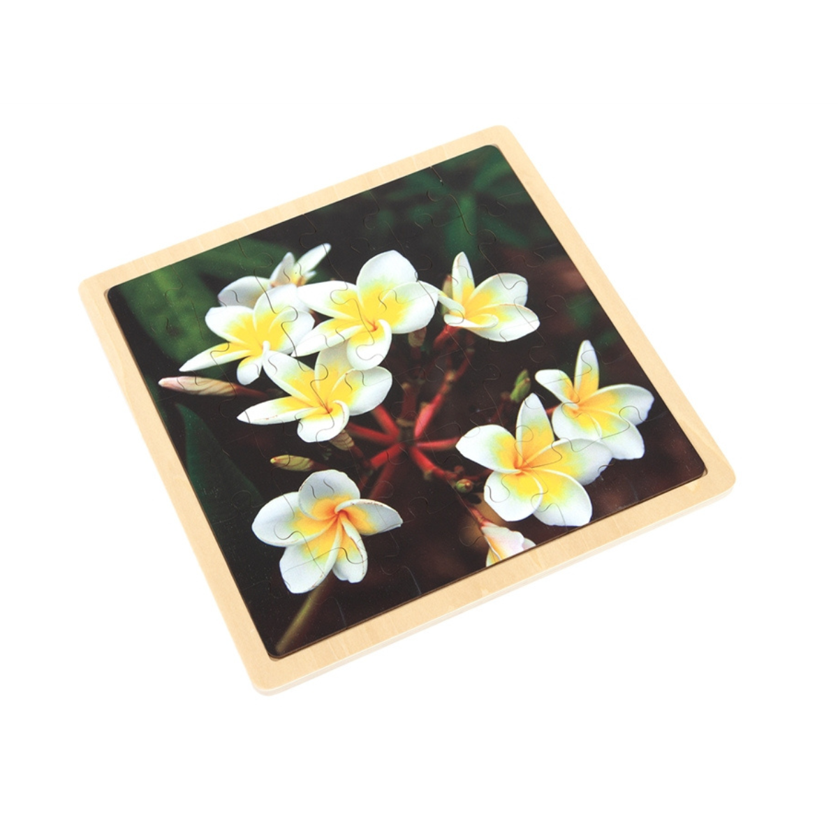 Plumeria - Jigsaw Puzzle