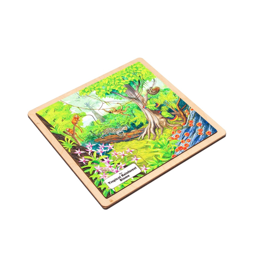 Tropical Rainforest Biome Puzzle