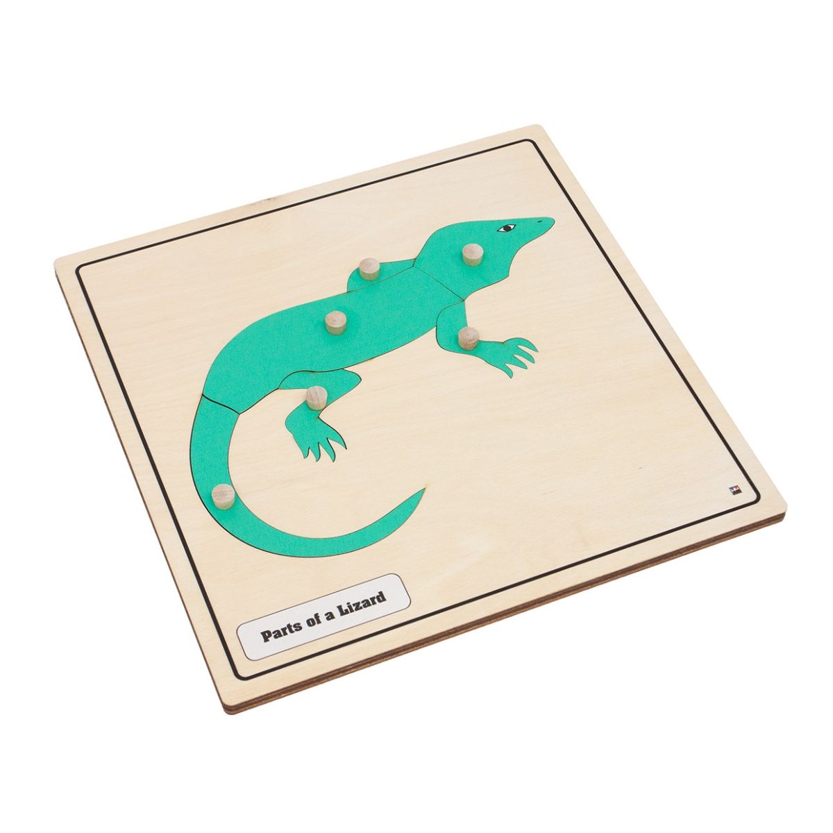 Parts of a Lizard Knobbed Puzzle