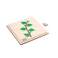 Parts of a Branch Puzzle with Nomenclature Cards (3-6)