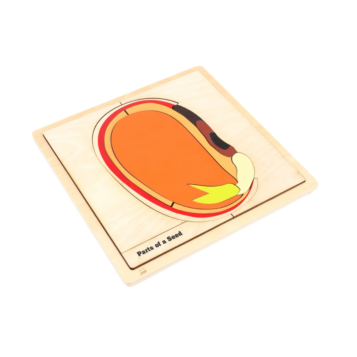 Parts of a Seed Puzzle