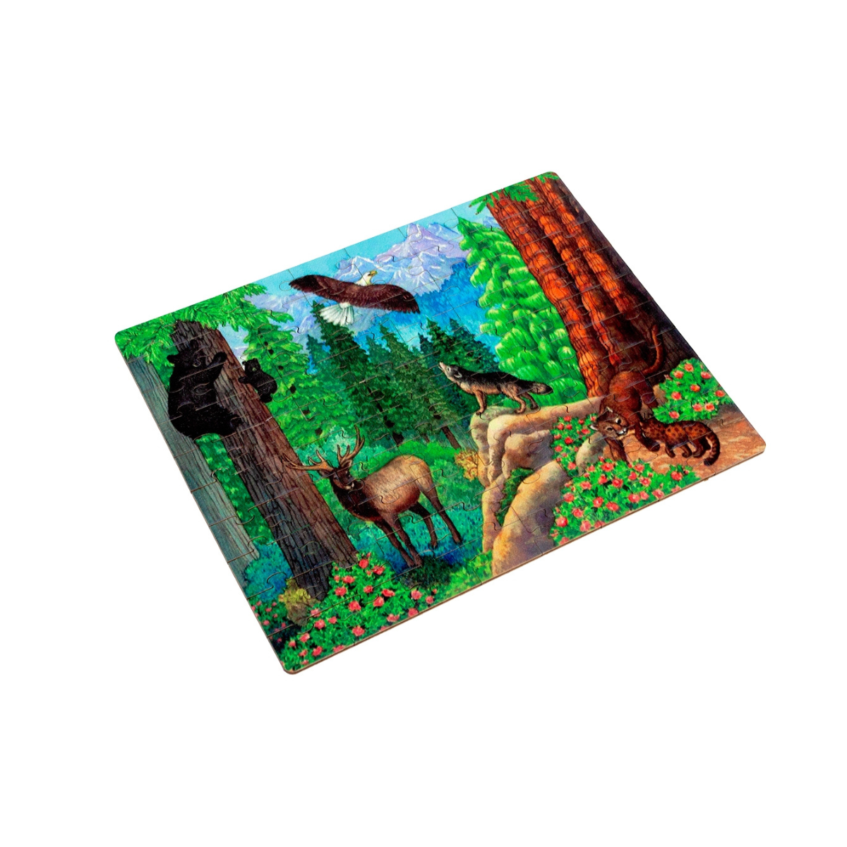 Temperate Coniferous Forest Biome - Jigsaw Puzzle