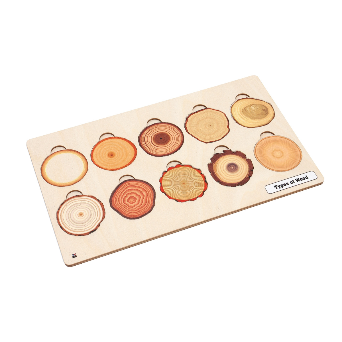 Types of Wood Puzzle with Nomenclature Cards 3-6 (Printed)