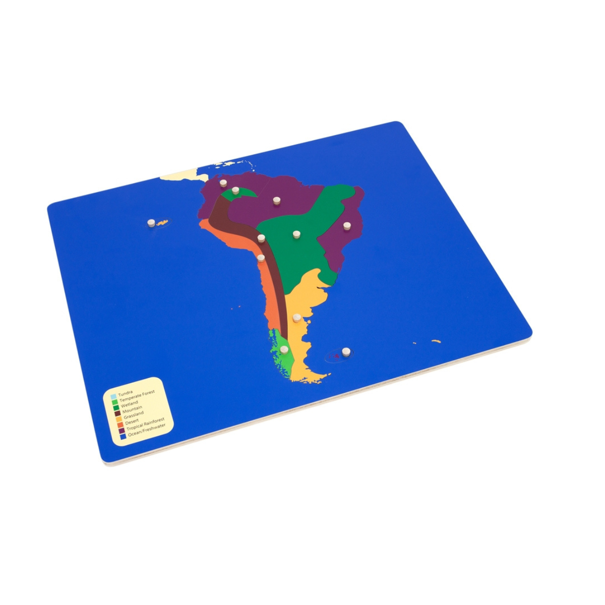 Biomes Puzzle Map of South America with Control Chart