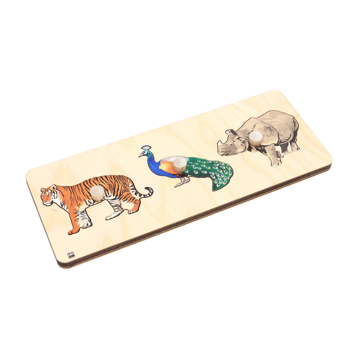 Animals of Asia Puzzle