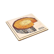 Parts of a Tree Trunk Puzzle with Nomenclature Cards 6-9