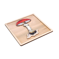 Parts of a Mushroom Puzzle