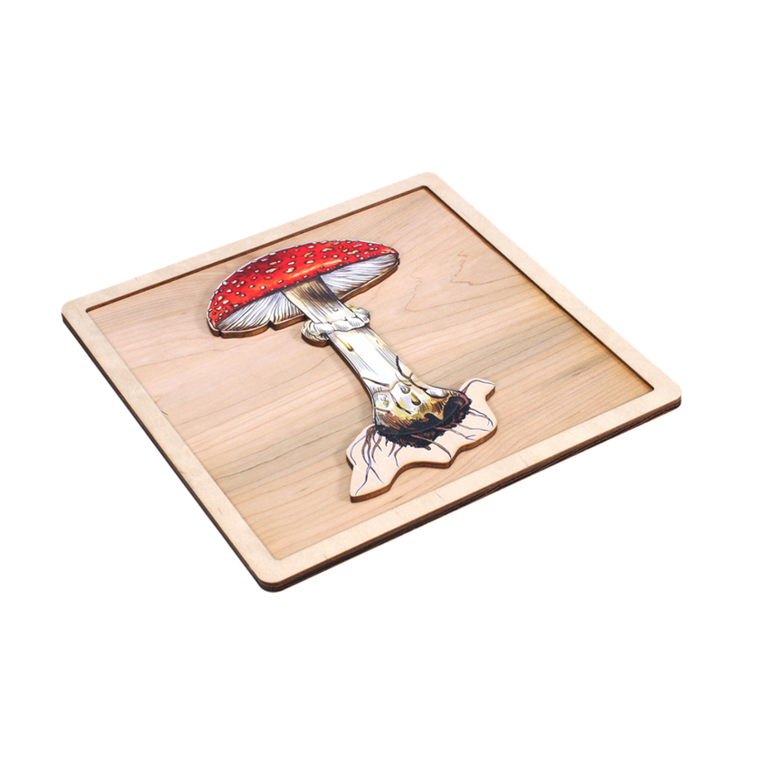 Parts of a Mushroom Puzzle