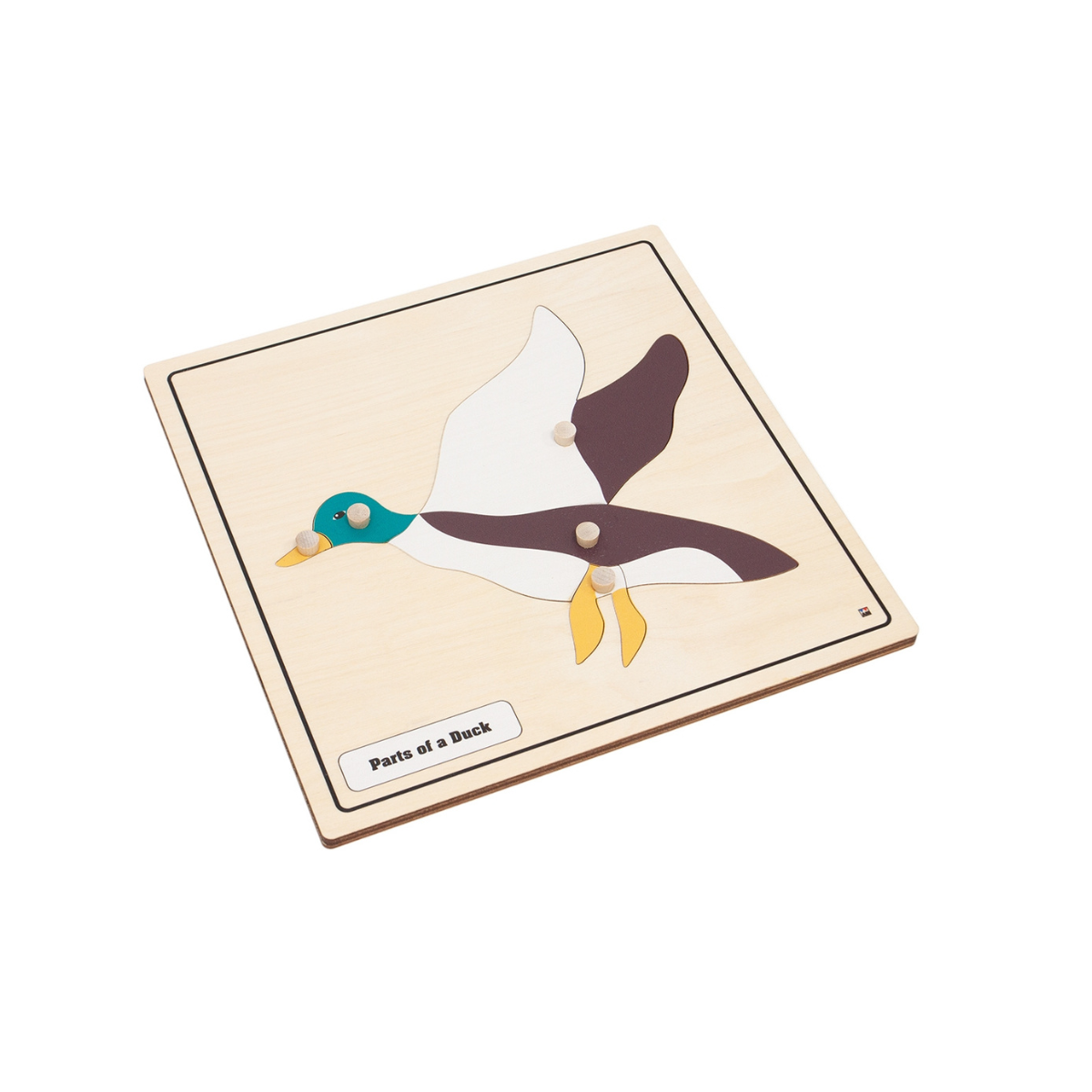 Parts of a Duck Knobbed Puzzle