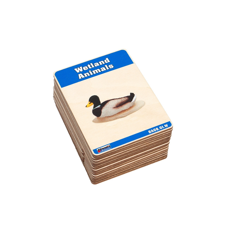 Wetlands Animals Wooden Nomenclature Cards (3-6) (Printed)