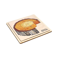 Parts of a Tree Trunk Puzzle