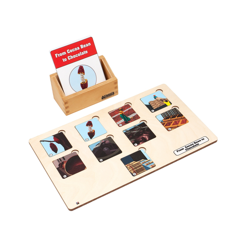 From Cocoa Bean to Chocolate Puzzle