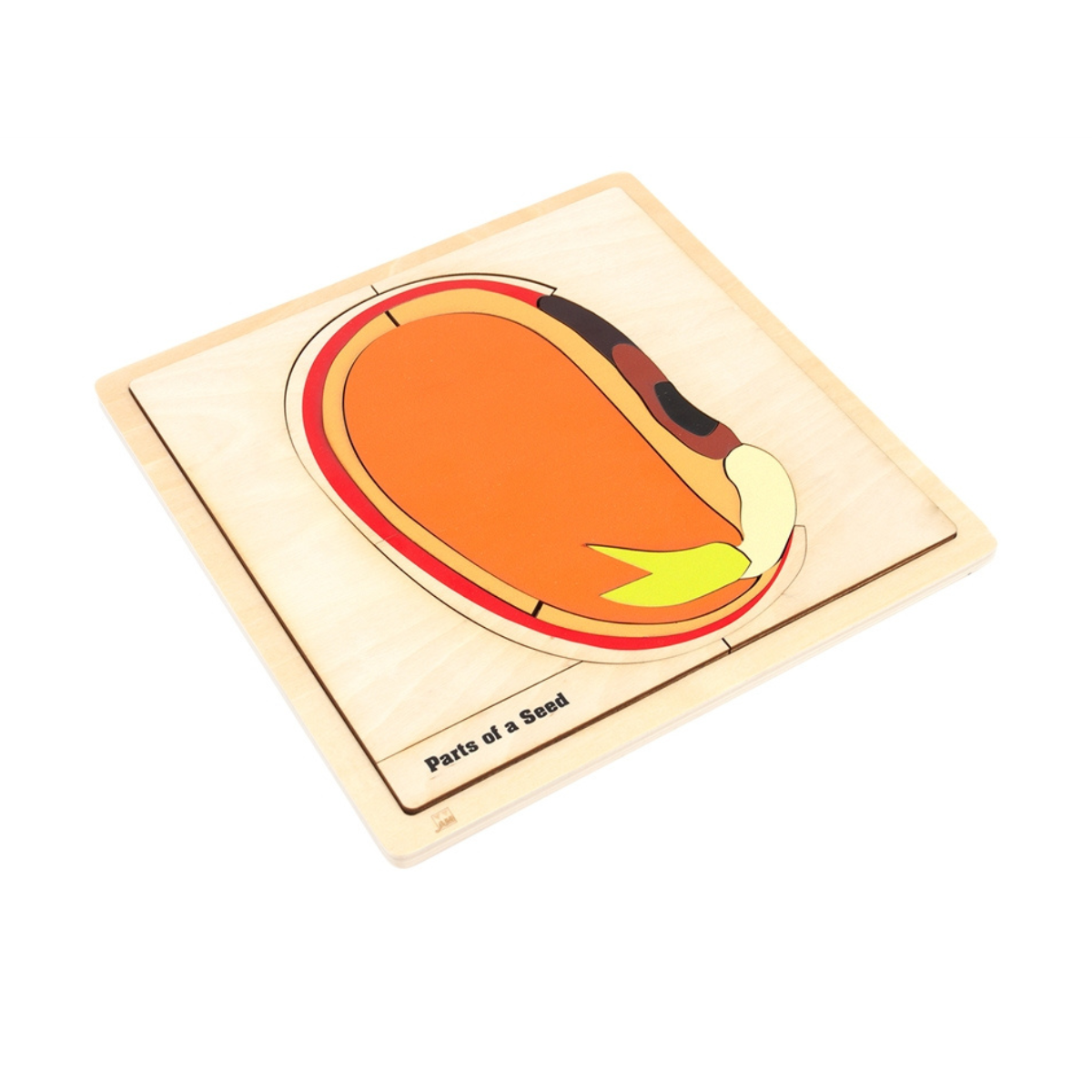 Parts of a Seed Puzzle with Nomenclature Cards 6-9 (Printed)