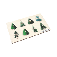 Types of Evergreen Trees Puzzle