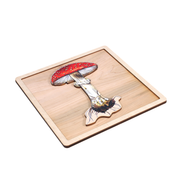 Parts of a Mushroom Puzzle with Nomenclature Cards (6-9)