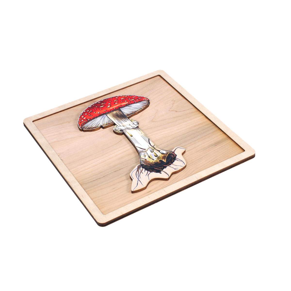 Parts of a Mushroom Puzzle with Nomenclature Cards (6-9)