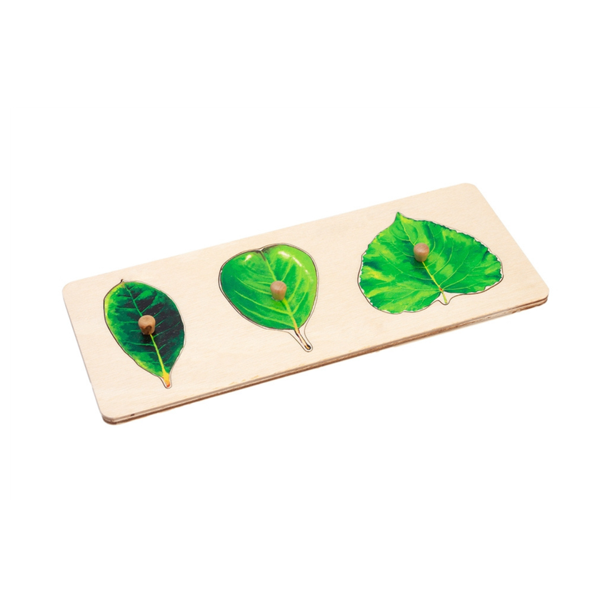 Three Leaves Puzzle