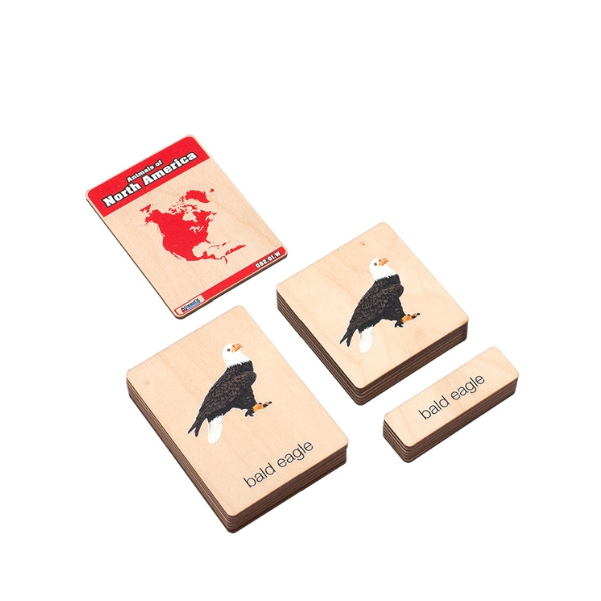 Animals of North America Wooden Nomenclature Cards (3-6) (Printed)